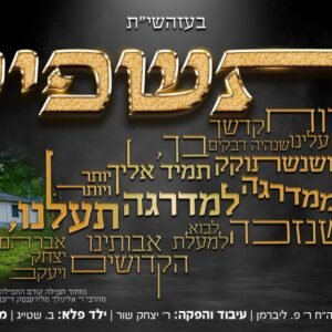 פלייבק ותשפיע | פנחס ליברמן