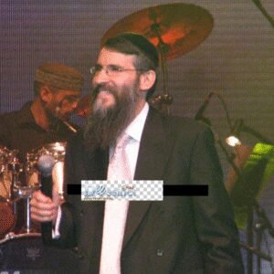 פלייבק אני שר | אברהם פריד