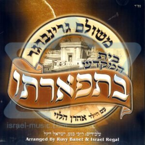 פלייבק לדור ודור | משולם גרינברג