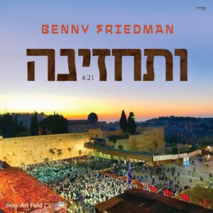 פלייבק ותחזינה | בני פרידמן