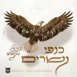 פלייבק כנפי נשרים | זאנוויל ויינברגר